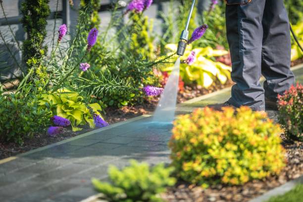 Best Sidewalk and Walkway Cleaning  in El Paso, TX